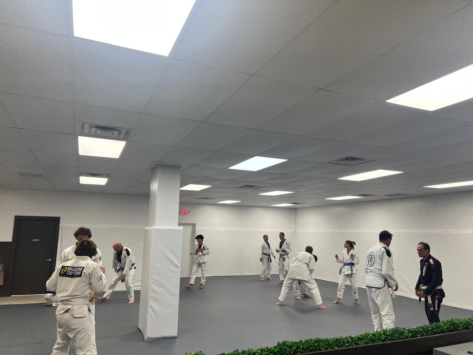 Adult BJJ class